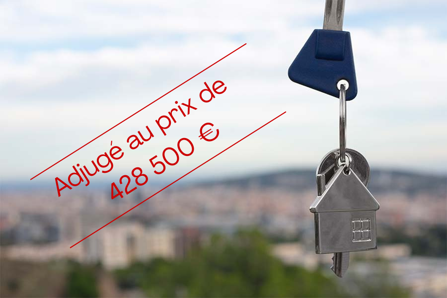 Image générique pour les ventes de biens immobiliers aux enchères de Proxim Avocats, cabinet d'avocats à Angers